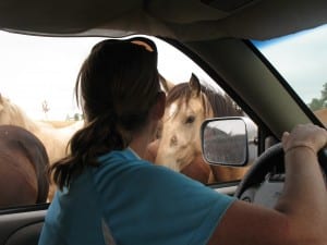 IMG_3687