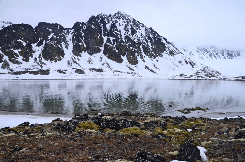 Arctic Circle, Svalbard