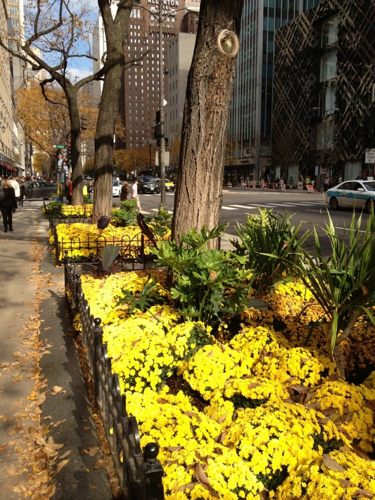 Michigan Avenue