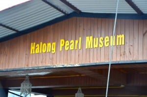 Pearl Museum and Oyster Farm