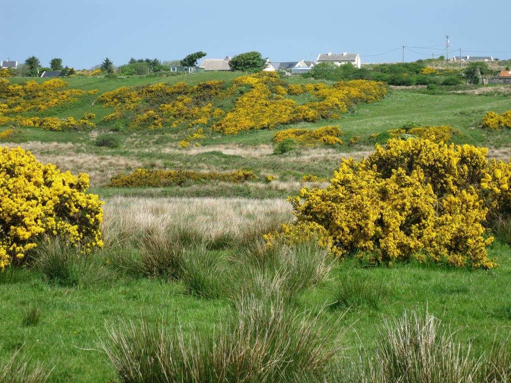 The Burren