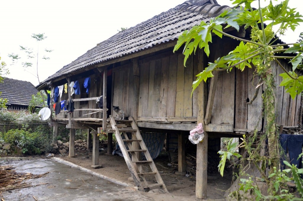 House on Stilts