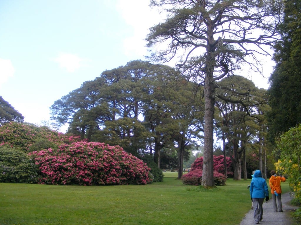 Ireland