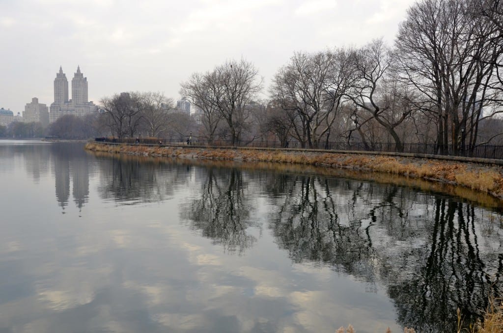 Central Park
