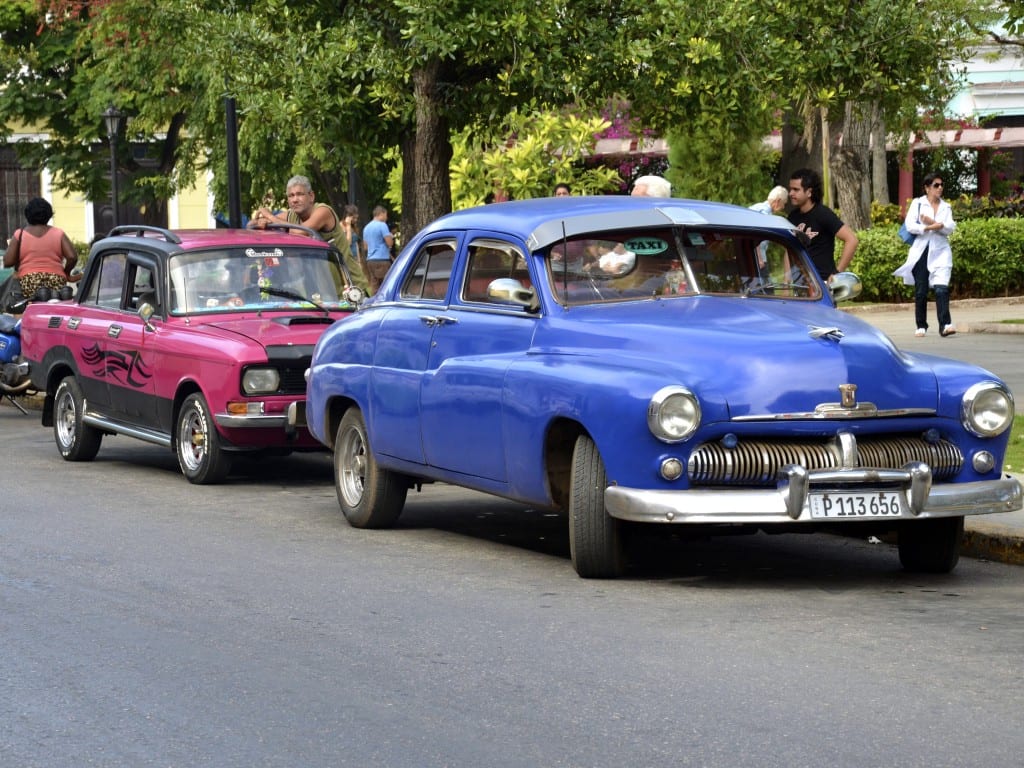 _DSC0255