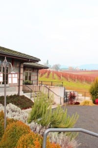 vineyard
