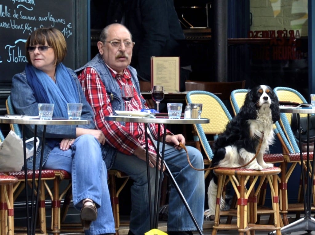 Outdoor Cafe with Dog 