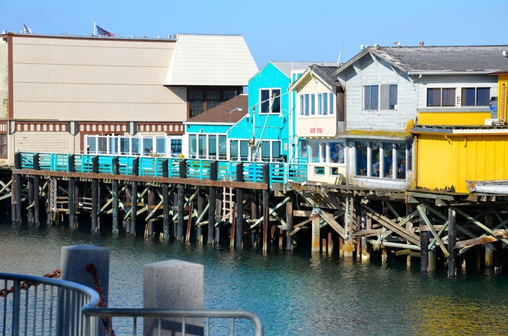 DSC_2661