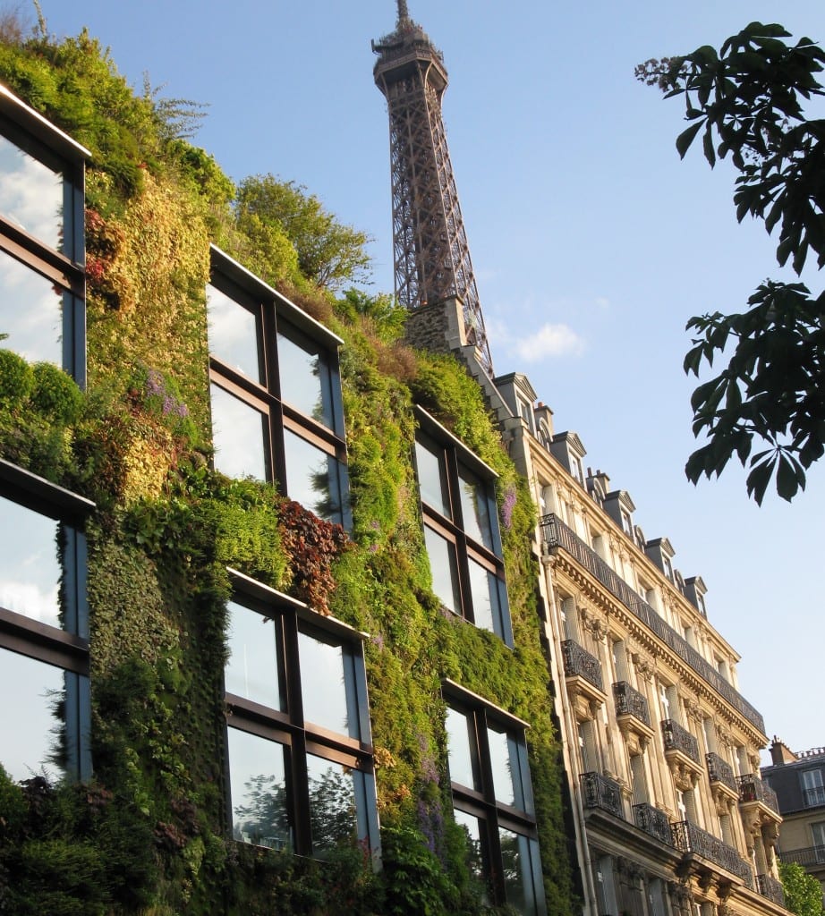 Lovely restaurant on top of Branly Museum 
