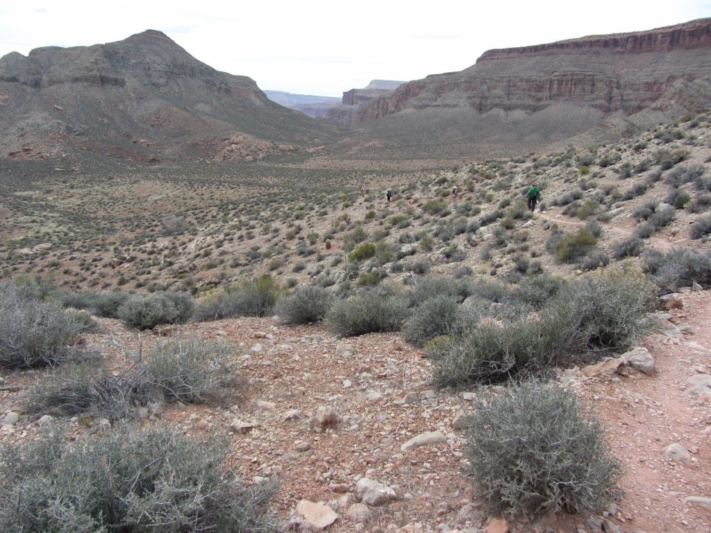 Surprise Valley