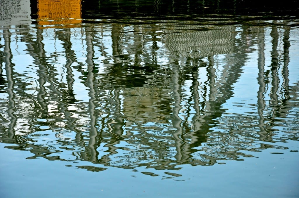 DSC_4750