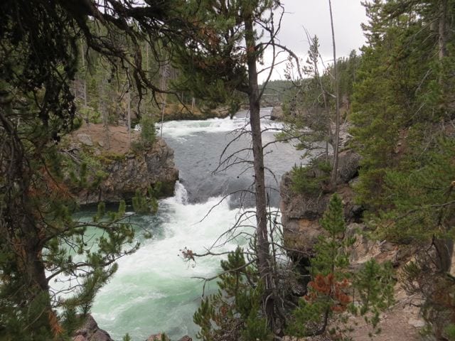 Yellowstone National Park IMG_3072