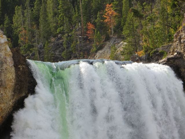 Yellowstone National Park IMG_3107