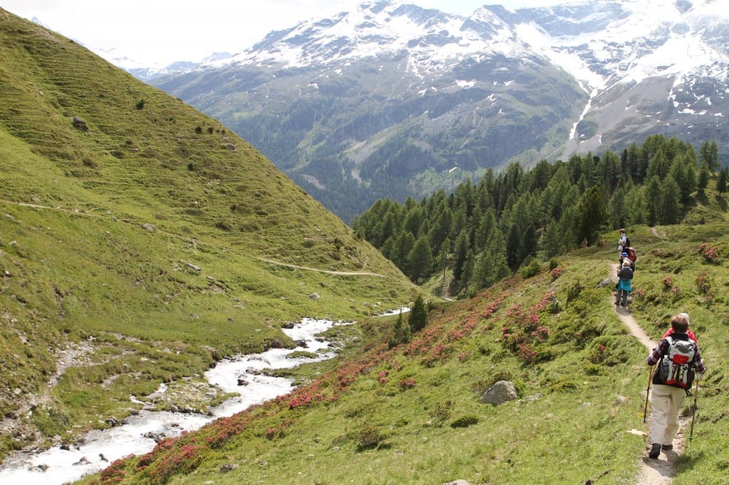 Hiking in Switzerland 