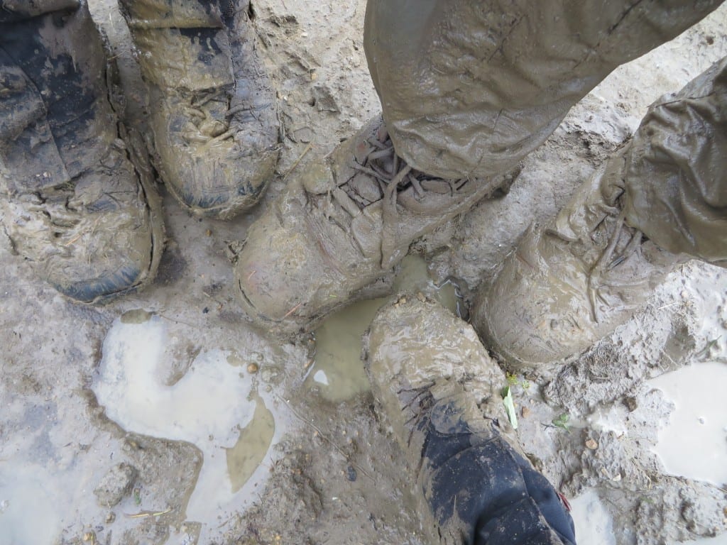Dolomites: Mean and Muddy 335