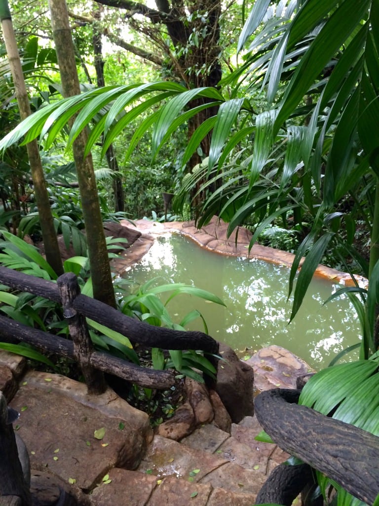 Hot Springs Costa Rica Costa Rica Rain Forest