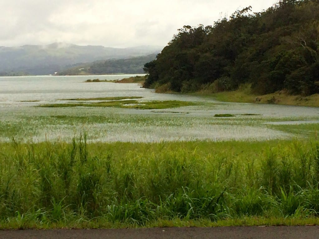 Costa Rica country side