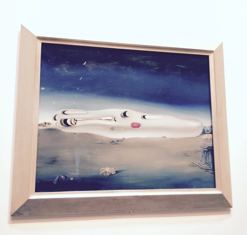 Salvador Dali Museum, Saint Petersburg, Florida 10