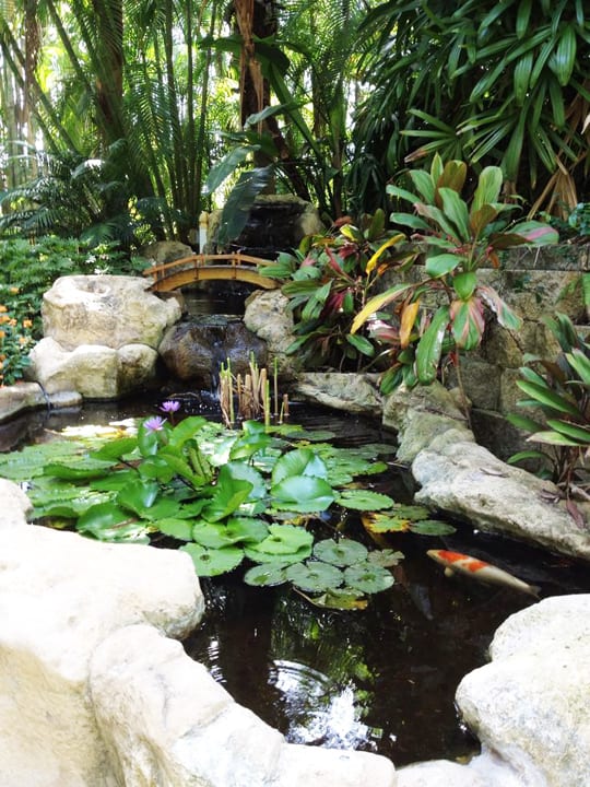 Japanese Gardens 7
