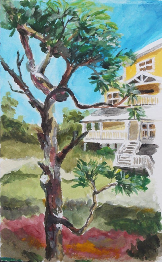 susan1 tree