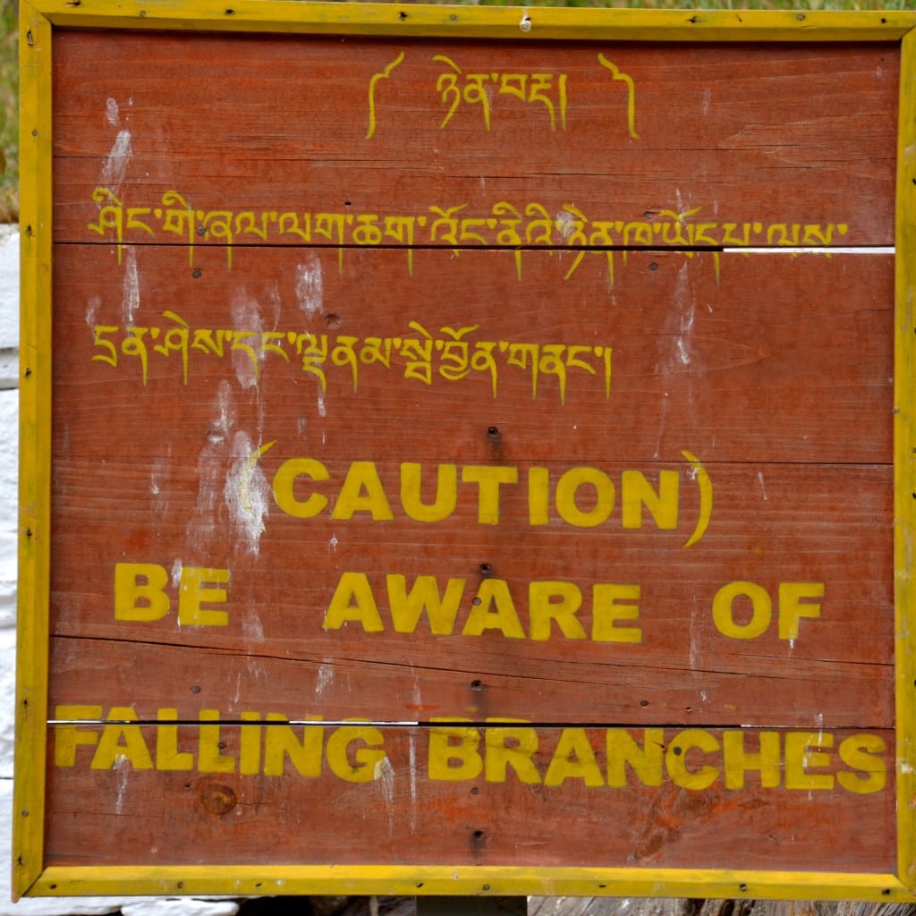 DSC_8077