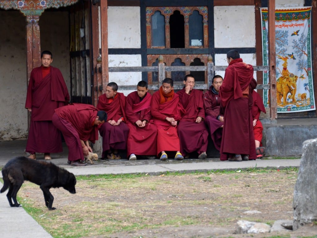 Monks and Four Friends DSC_8444