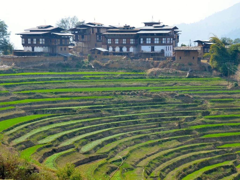 DSC_8676
