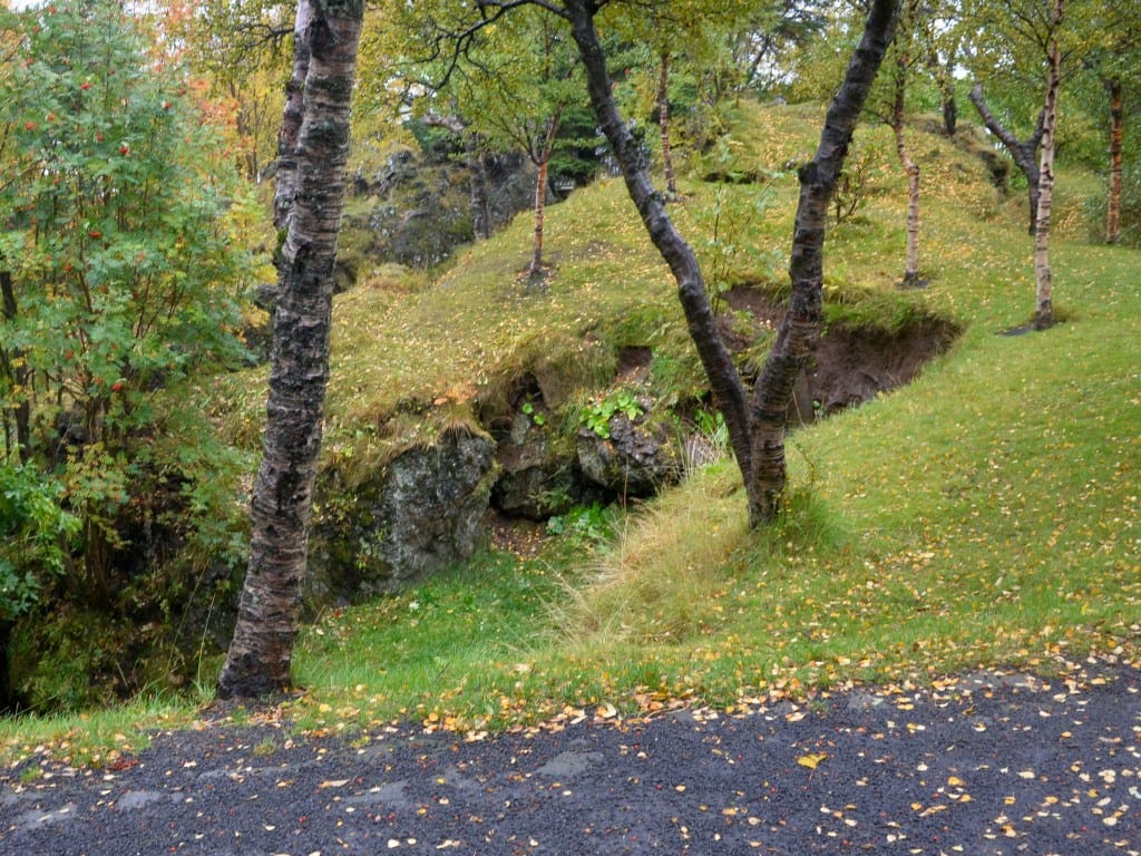 DSC_1187