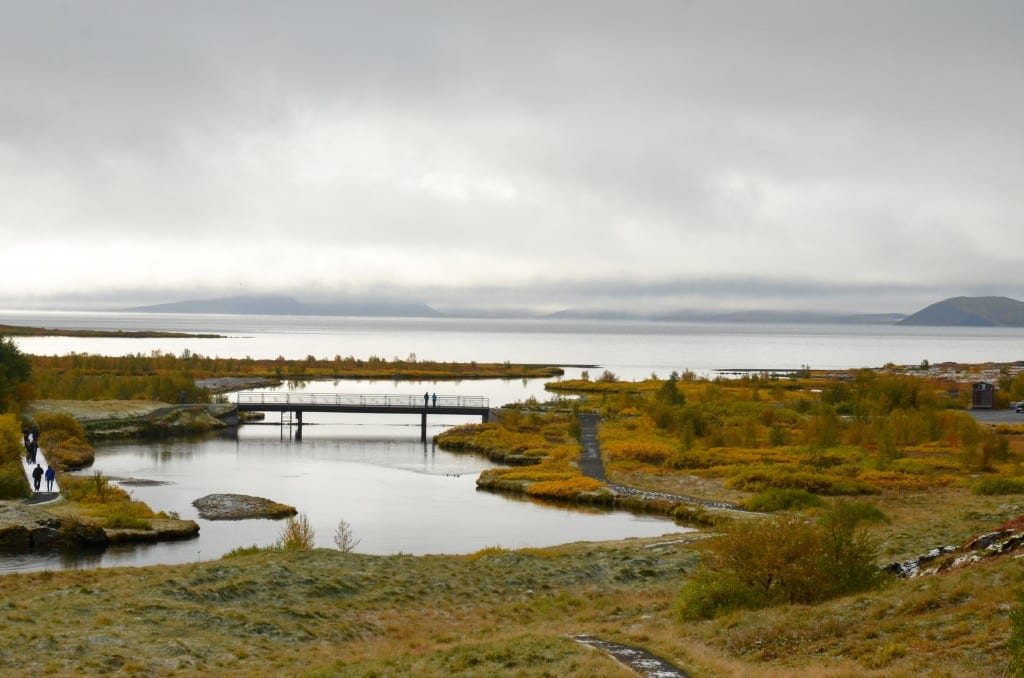 DSC_1986