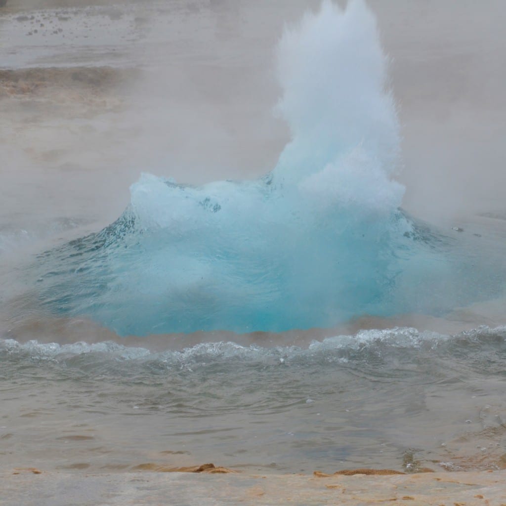 DSC_2029