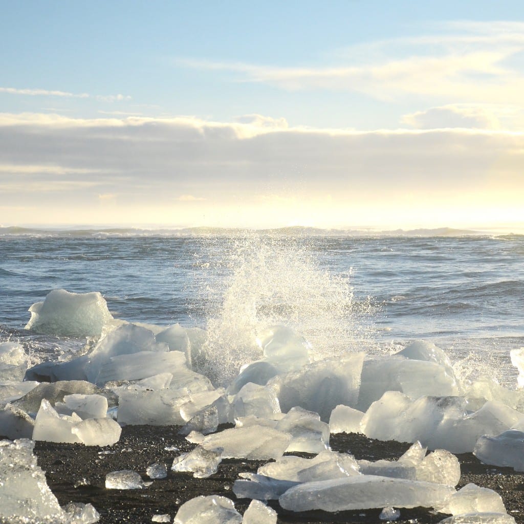DSC_2779