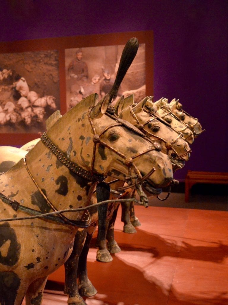 Terra Cotta Warriors Exhibit at the Field Museum, Chicago 