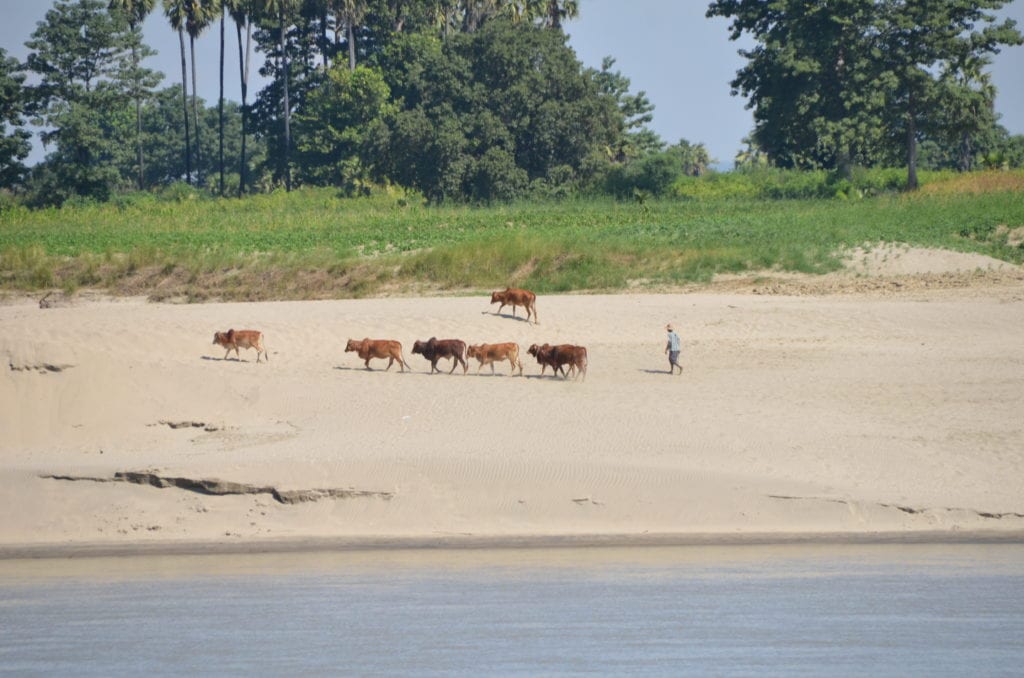 Irrawaddy River scenes, Myanmar 