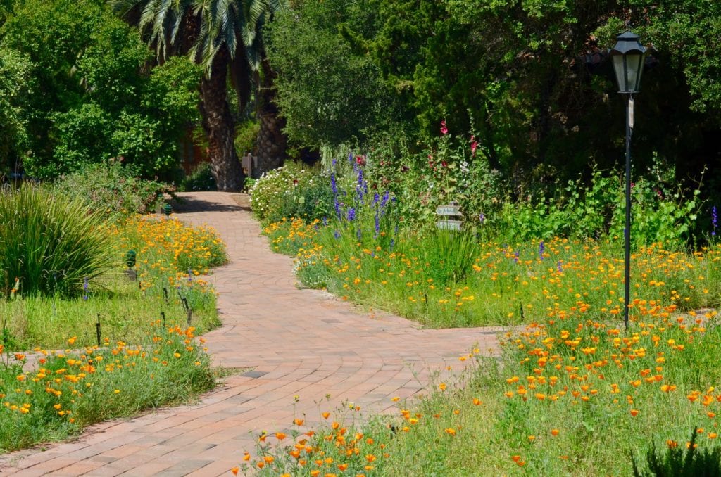 Rancho La Puerta 