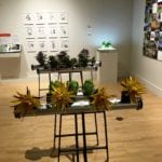 Kendall College of Art and Design