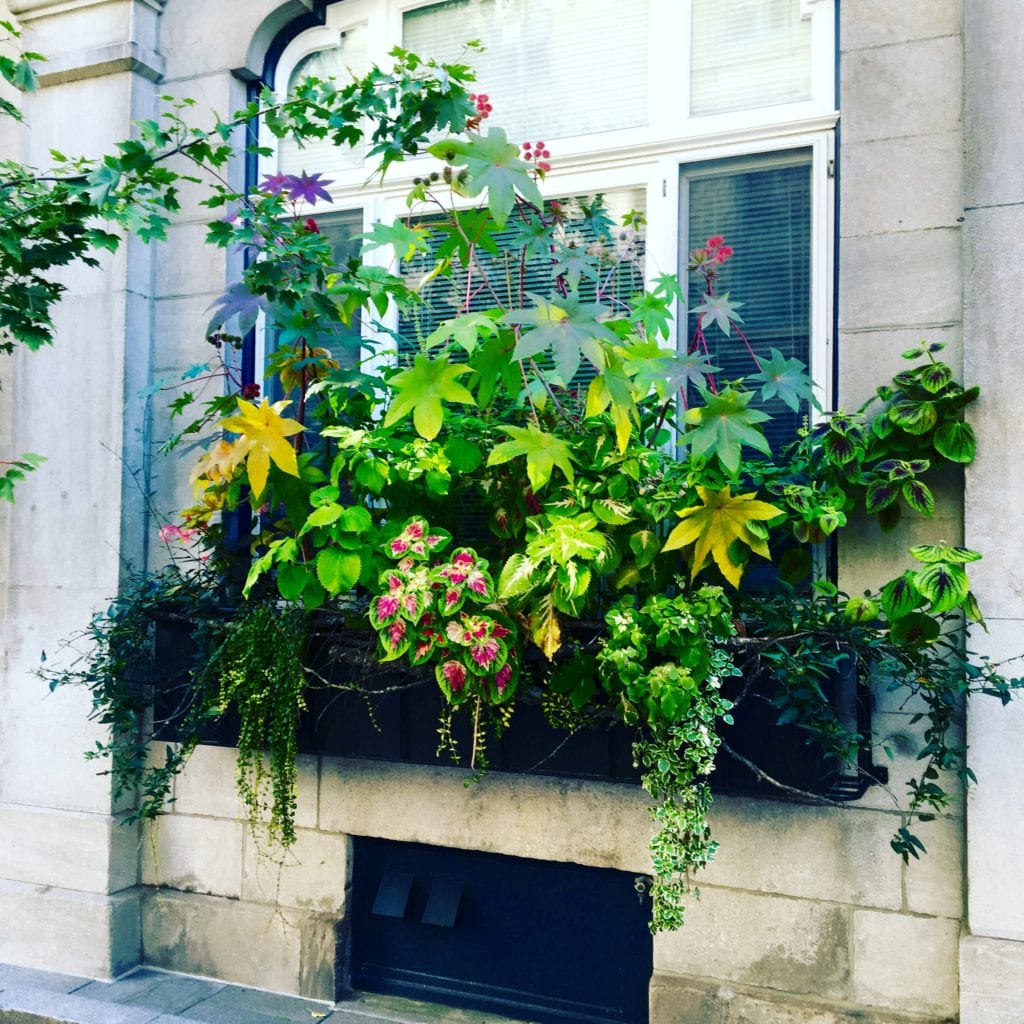 Quebec City Fall Decor 